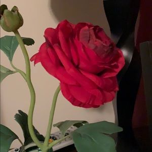 Meet your Posher, Gabriela